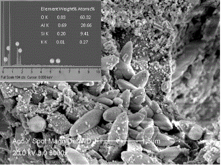 Preparation method for mullite in-situ reinforced silicon carbide porous ceramic sintered at low temperature