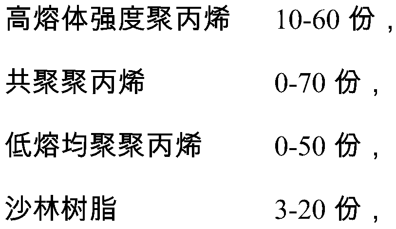 High foaming scratch-resistant polypropylene foaming material and preparation method thereof