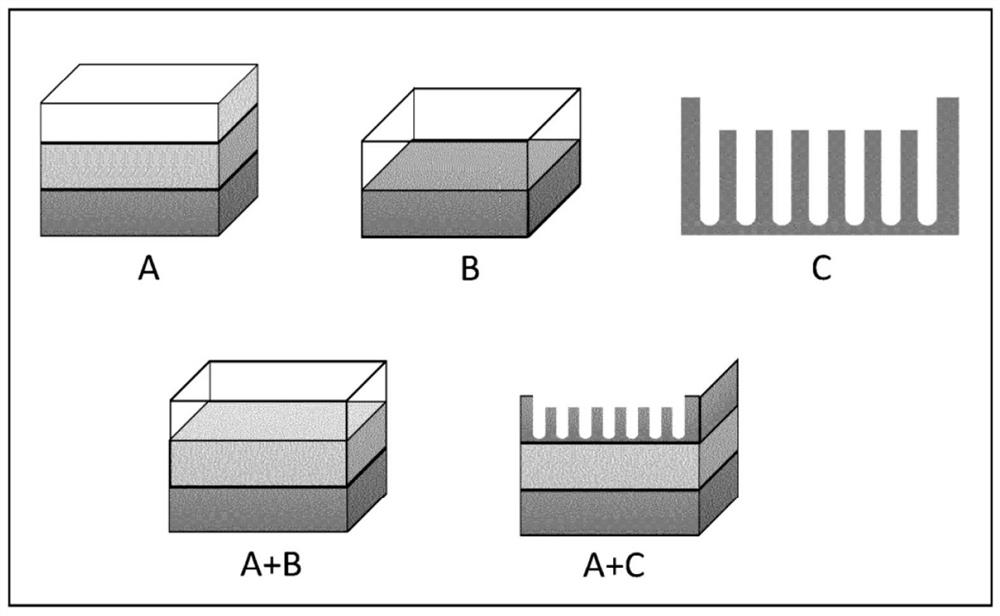 3D bioprinted skin tissue model