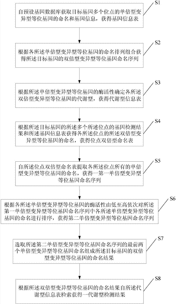 Drug metabolic enzyme metabolism type evaluation method