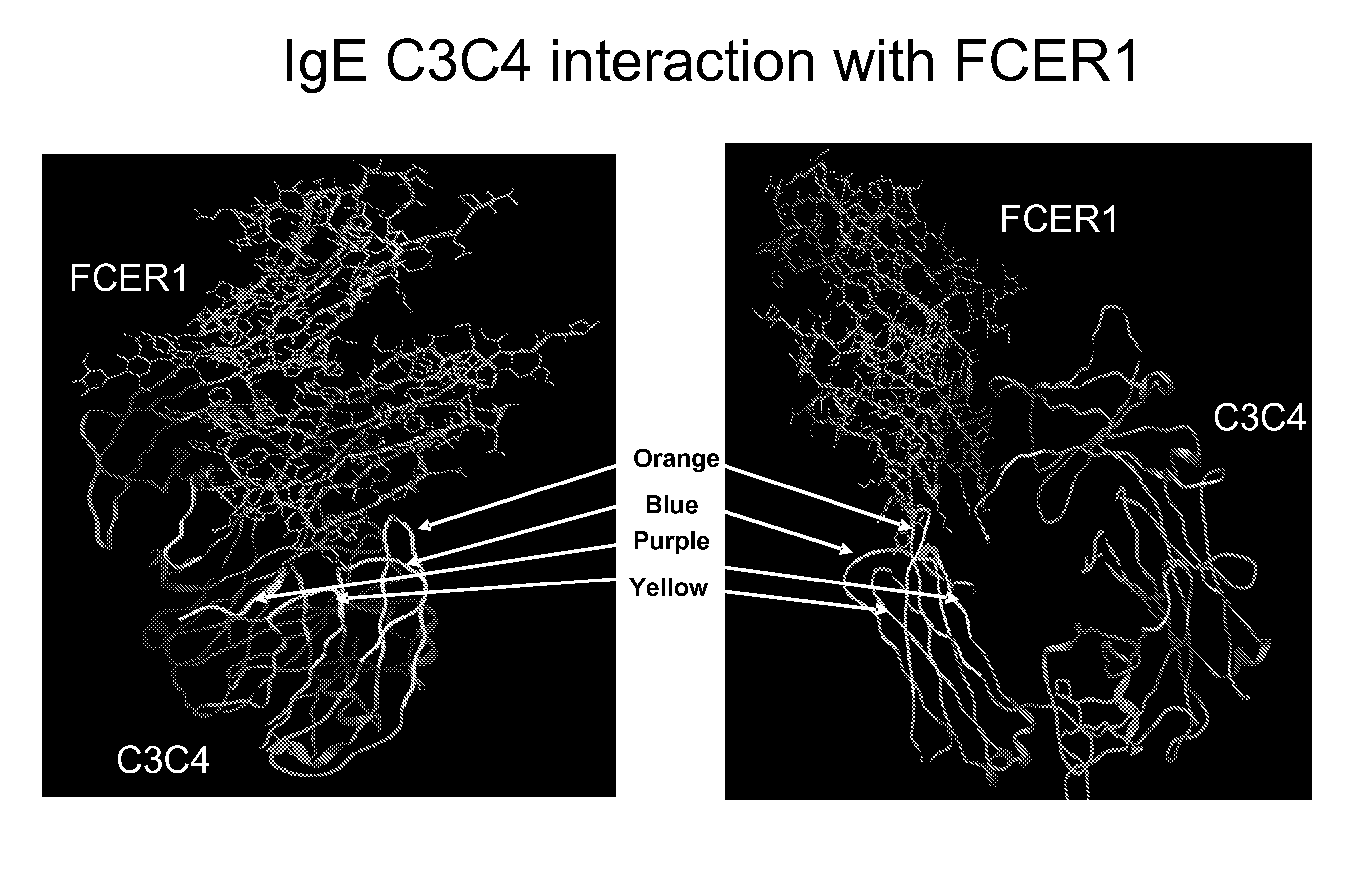 Ige ch3 peptide vaccine