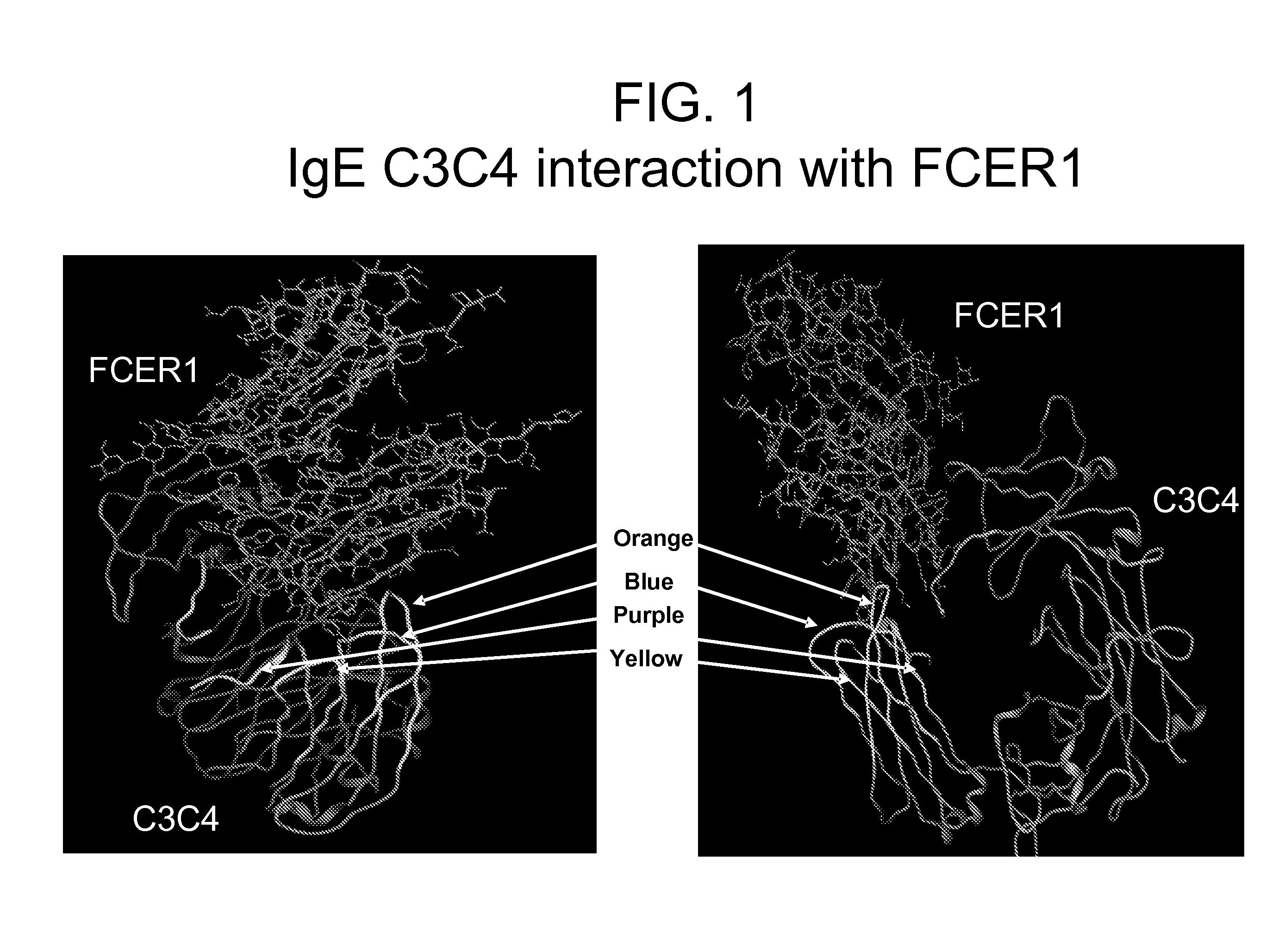 Ige ch3 peptide vaccine