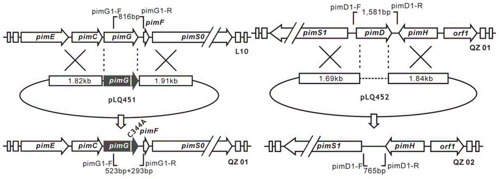 Low toxicity pimamycin derivatives and preparation method and application thereof