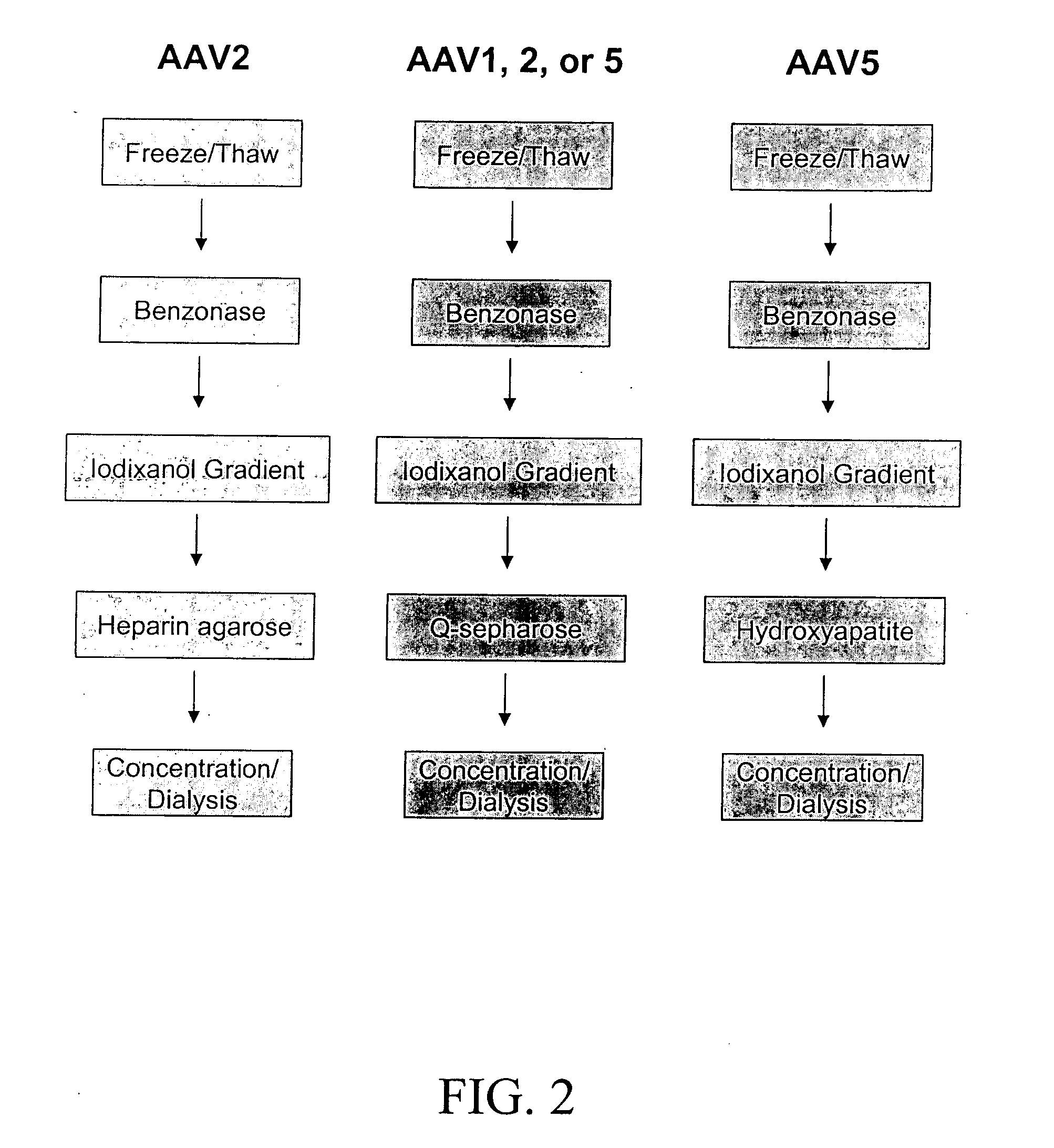 Production of pseudotyped recombinant AAV virions