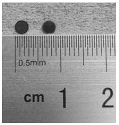 Transmission electron microscope micro-grid based on heavy ion irradiation, and preparation method thereof