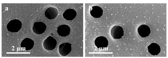 Transmission electron microscope micro-grid based on heavy ion irradiation, and preparation method thereof