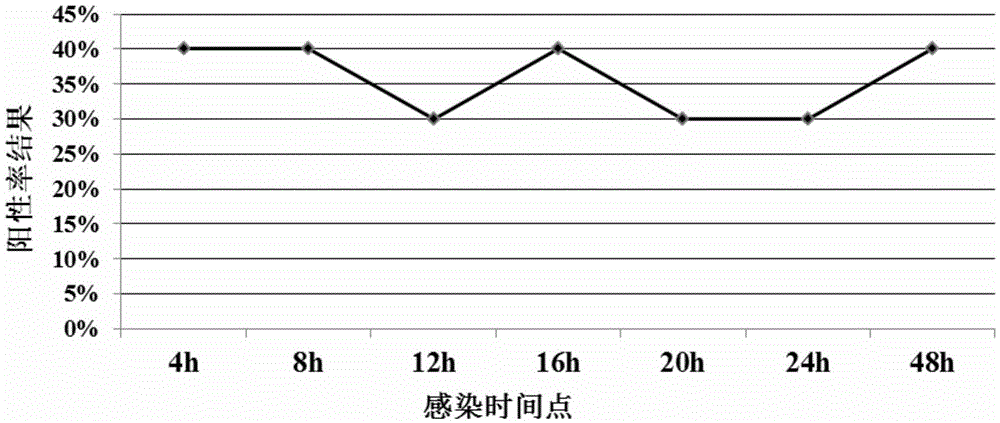 A method for identifying chicken microRNAs associated with Campylobacter jejuni infection