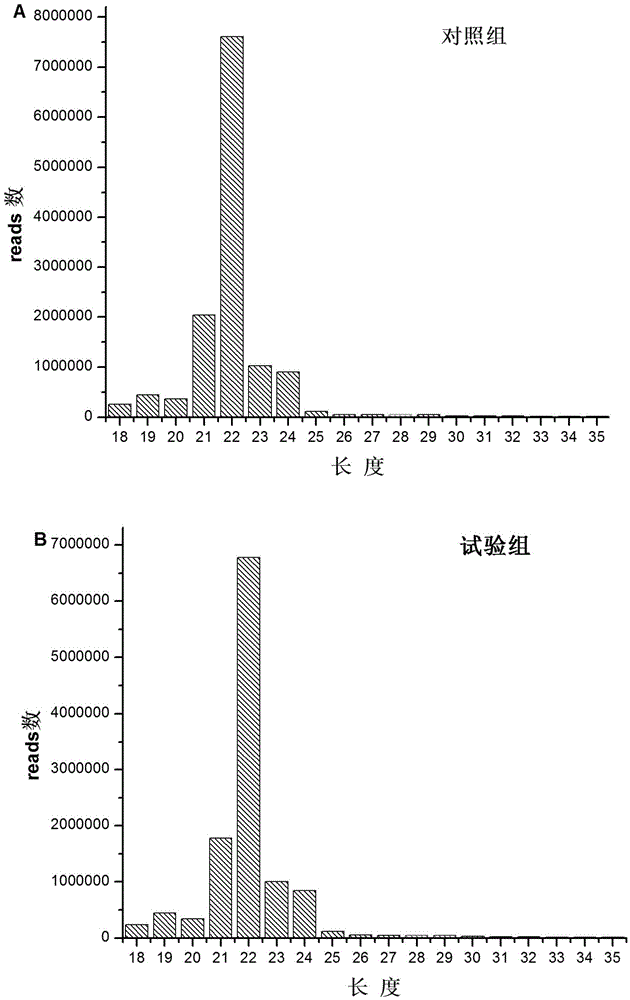 A method for identifying chicken microRNAs associated with Campylobacter jejuni infection