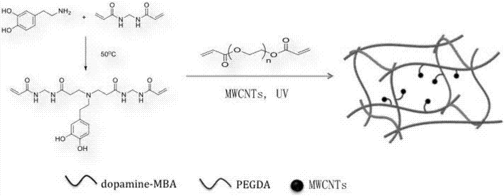 Production method and product of novel multiwalled carbon nanotube-dopamine-polyethyleneglycol diacrylate hydrogel film