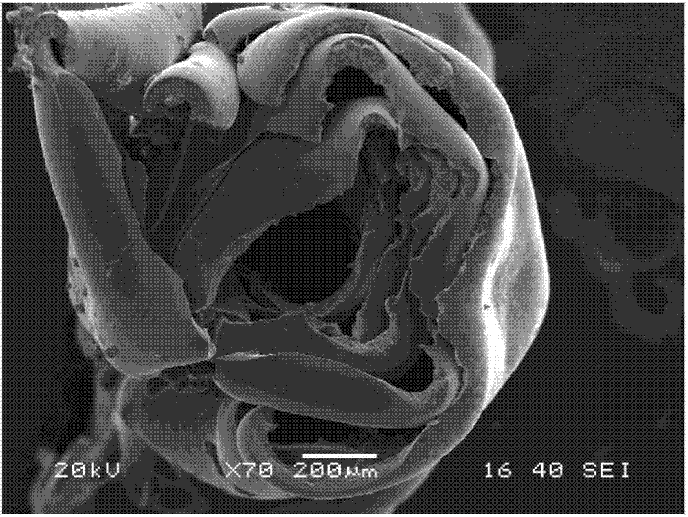 Production method and product of novel multiwalled carbon nanotube-dopamine-polyethyleneglycol diacrylate hydrogel film