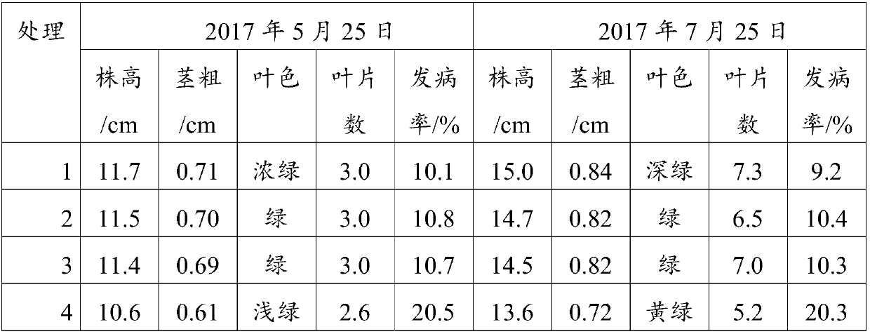 Compound microbial fertilizer for preventing continuous cropping of ginseng and preparation method thereof