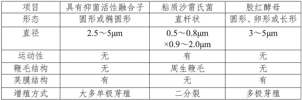 Fusant with bacteriostatic activity and preparation method thereof