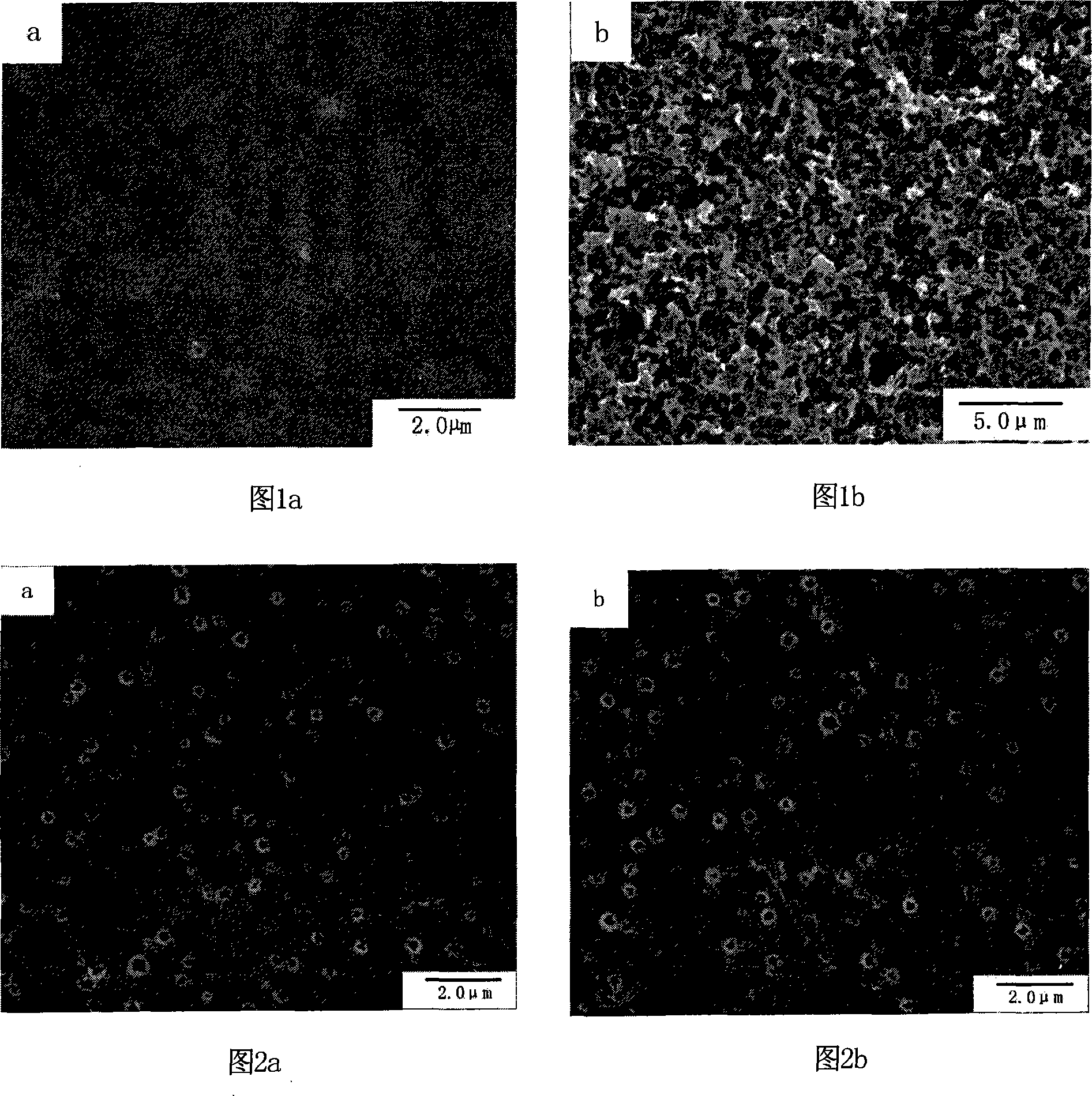 Microetching method on ABS engineering plastic element surface without chromium pollution