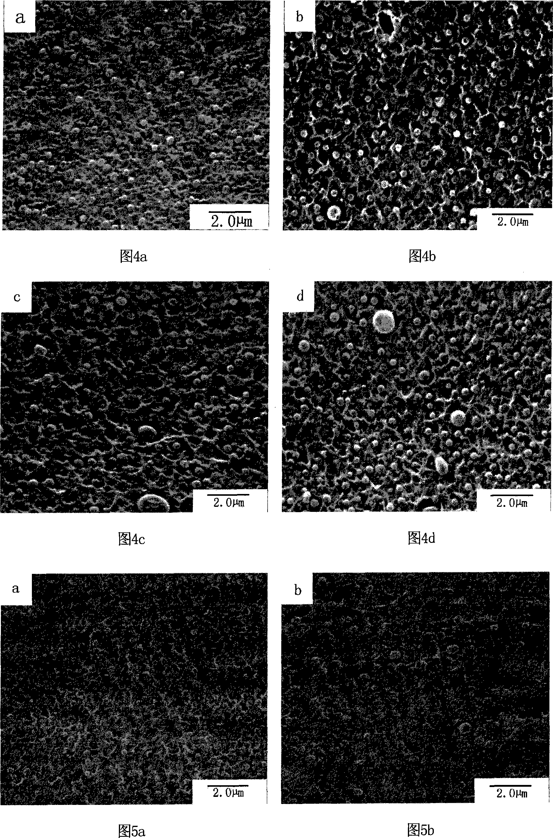 Microetching method on ABS engineering plastic element surface without chromium pollution