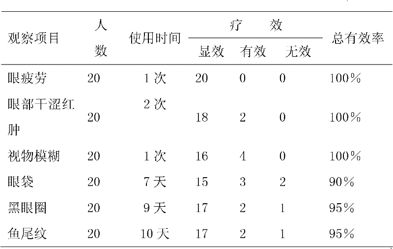 Eye-protecting traditional Chinese medicine composition with health care and therapeutic effects