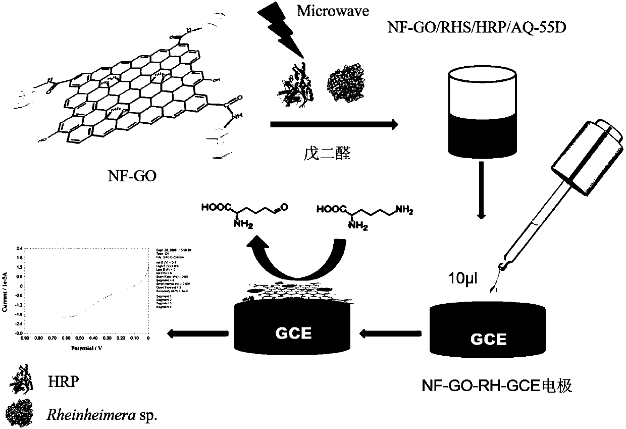 Electrochemical L-lysine sensor based on graphene material and preparation method thereof