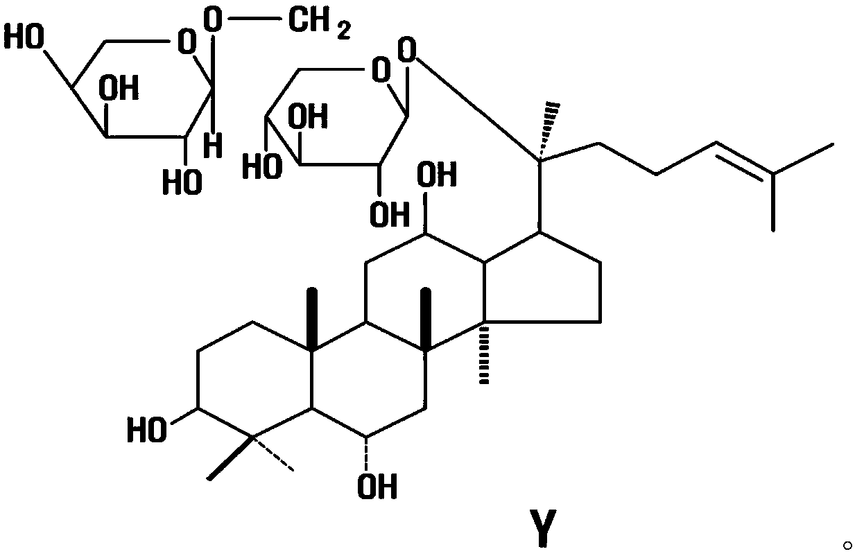 Topical composition for skin containing ginsenoside Y