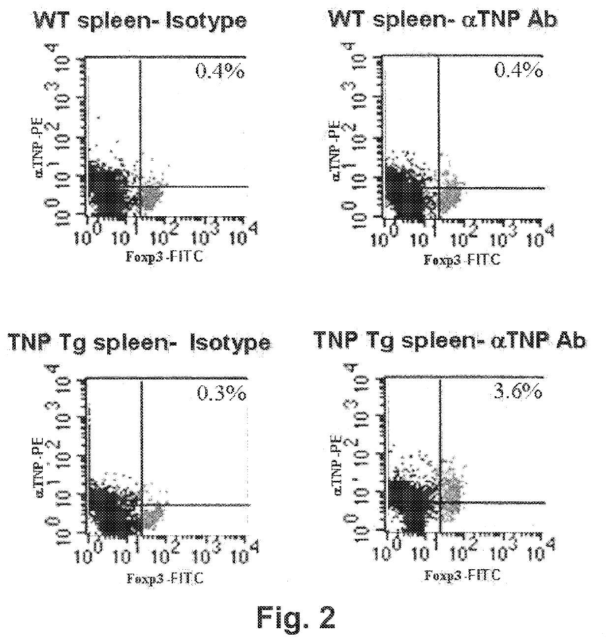 Redirected, genetically-engineered t regulatory cells and their use in suppression of autoimmune and inflammatory disease