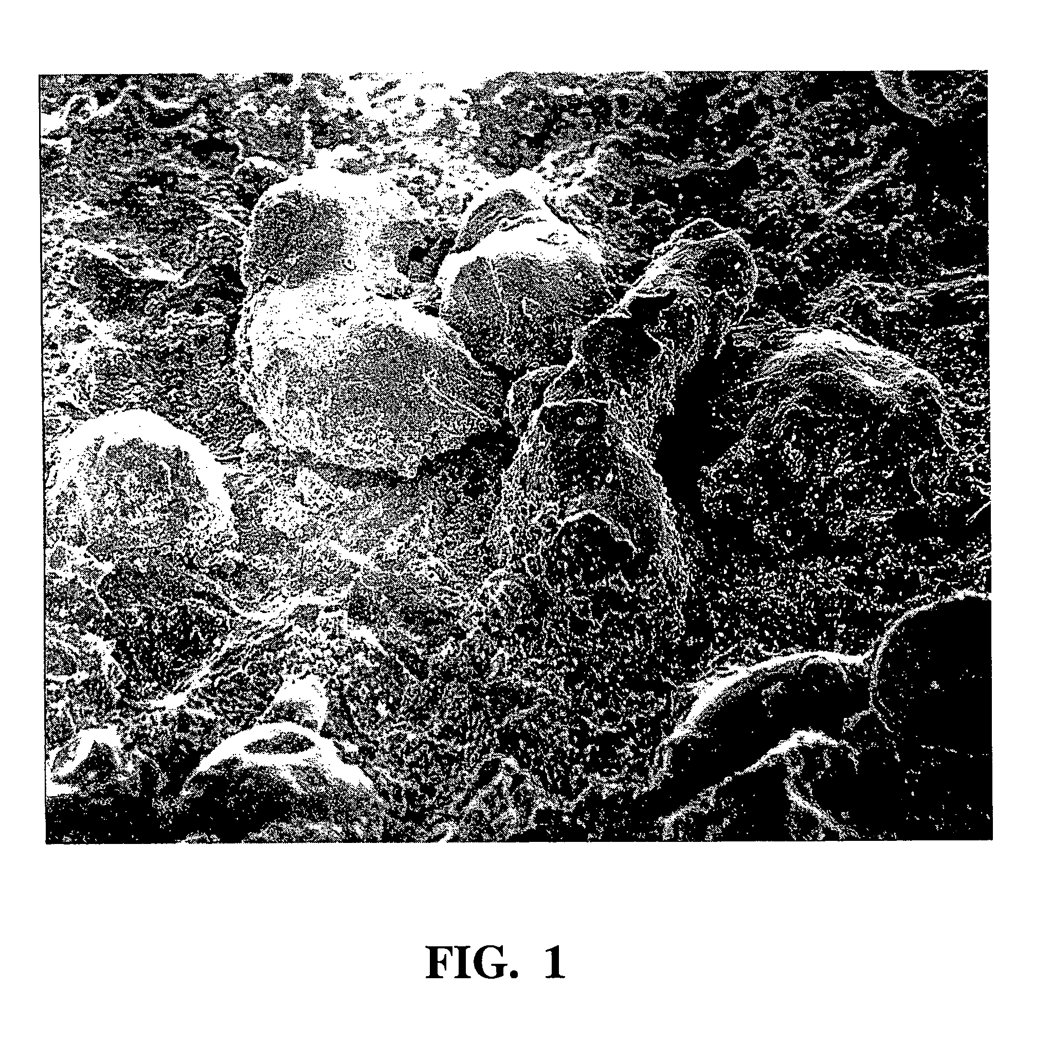 Kinetic sprayed electrical contacts on conductive substrates