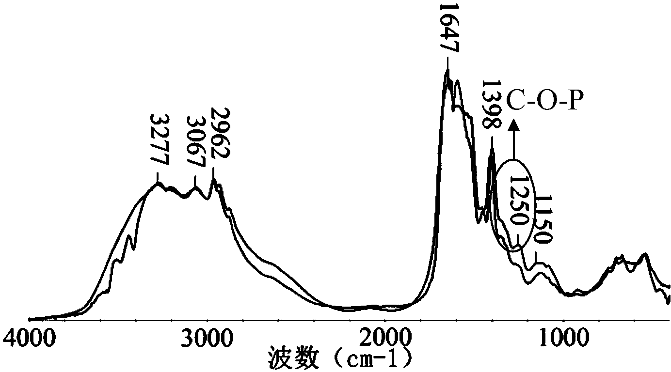 Preparation method of phosphorylated krill peptide for preventing and treating osteoporosis