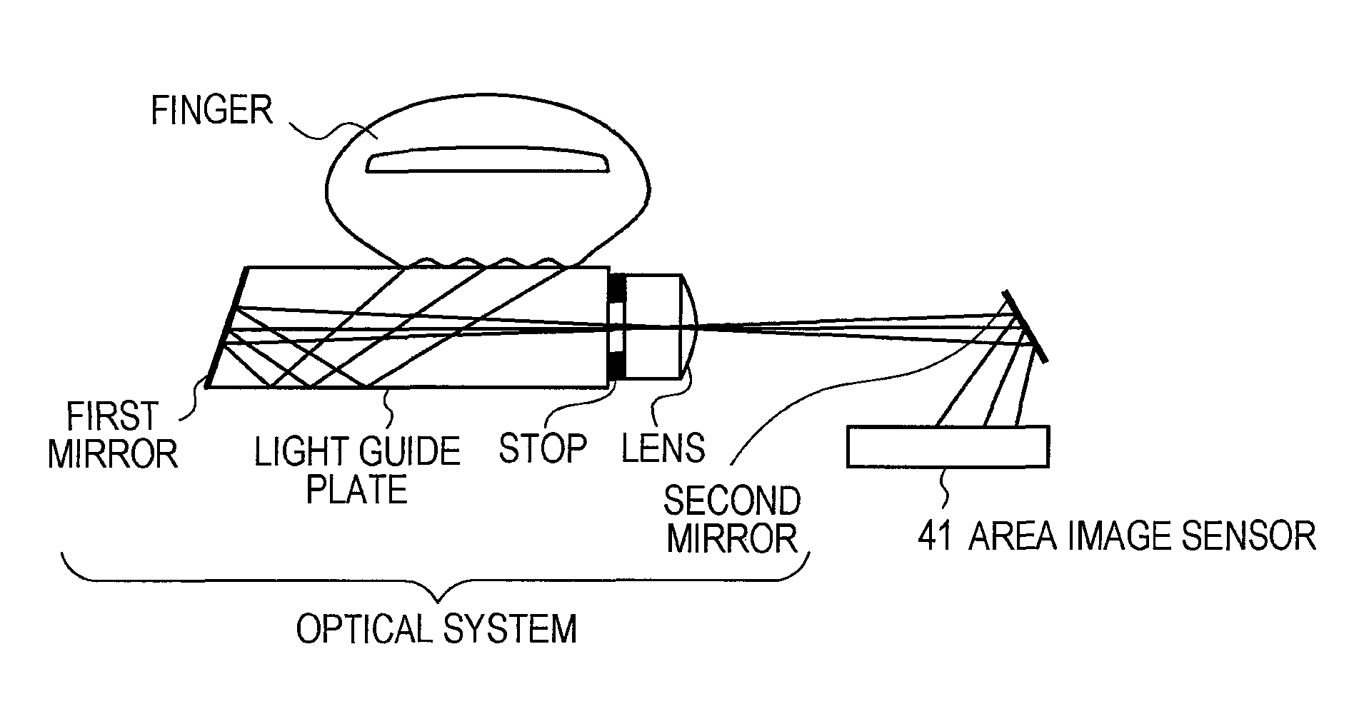 Vein authentication apparatus, imaging apparatus for vein authentication, and vein illuminating method