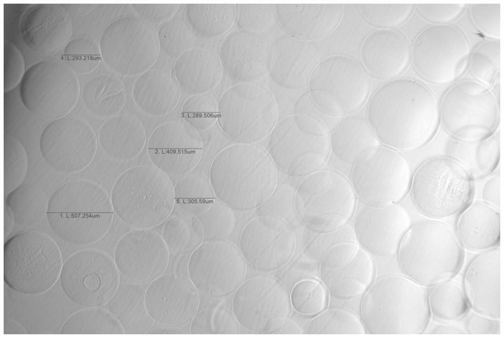 Photo-initiated cross-linked polyvinyl alcohol drug-loaded embolism microsphere and preparation method thereof