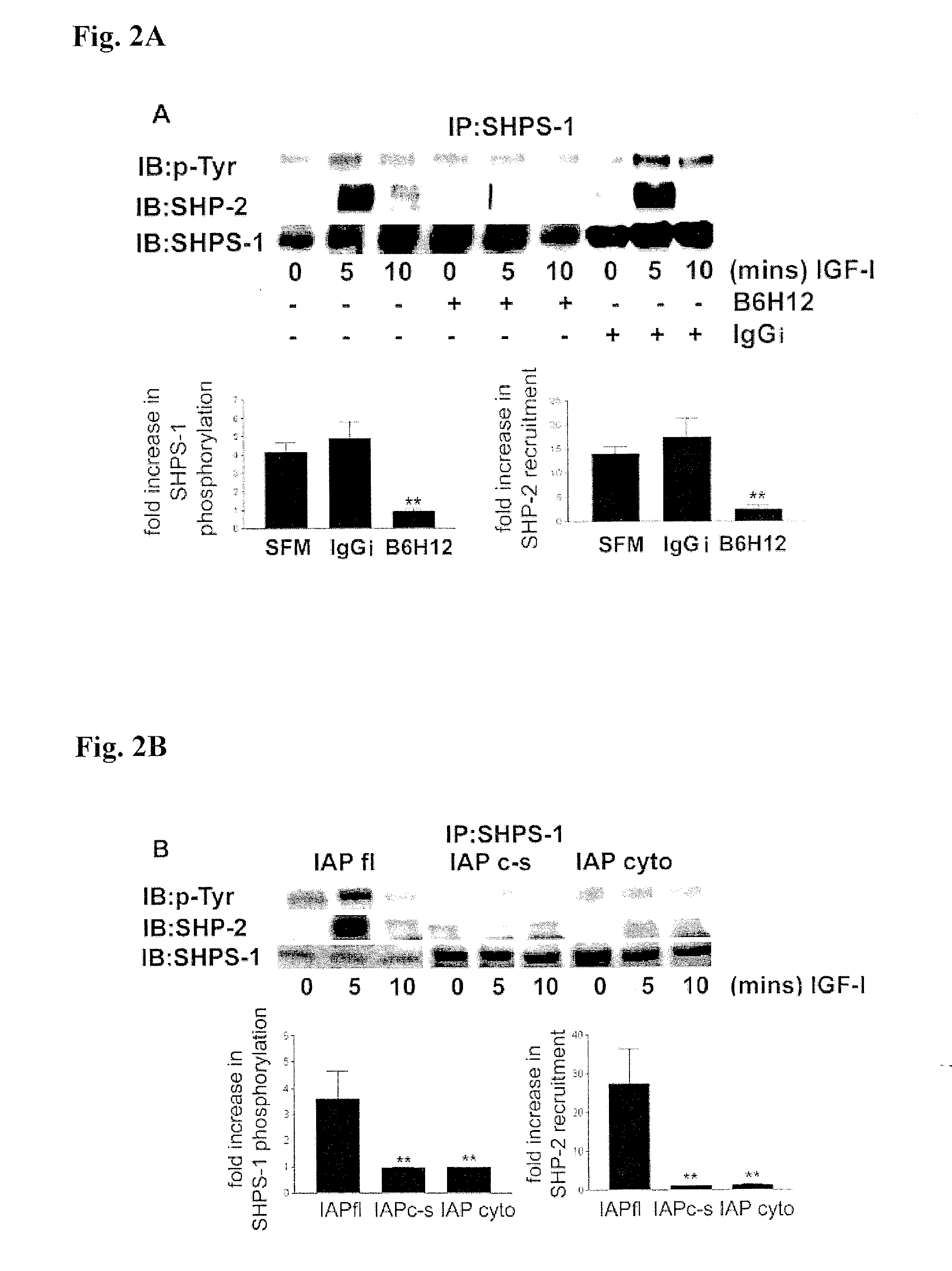 Method for inhibiting cellular activation by insulin-like growth factor-1