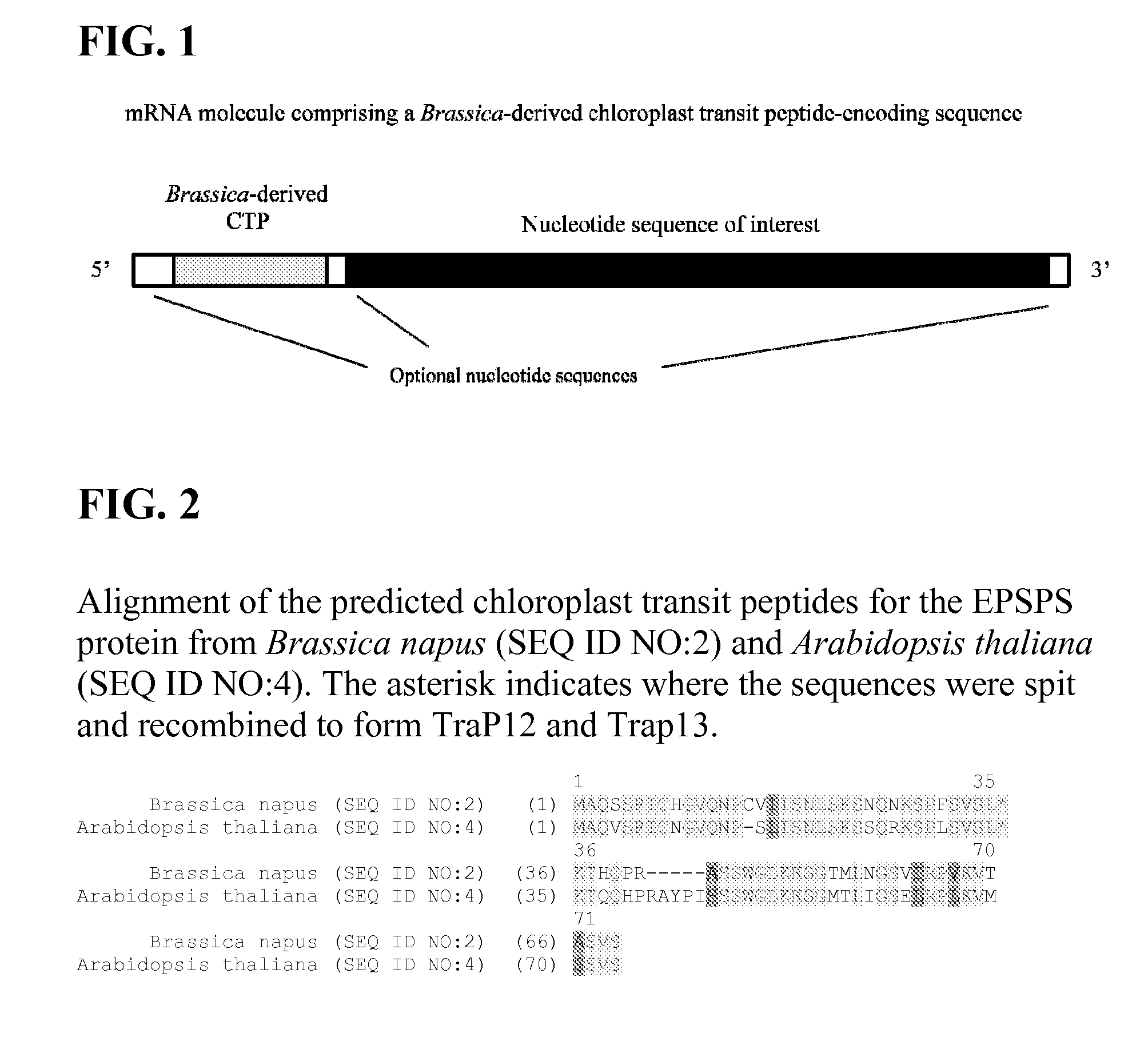 Synthetic brassica-derived chloroplast transit peptides