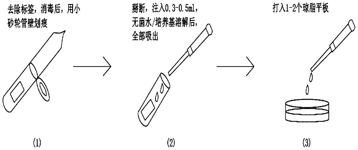 Method for simulating early degradation of organic matter in microbialite