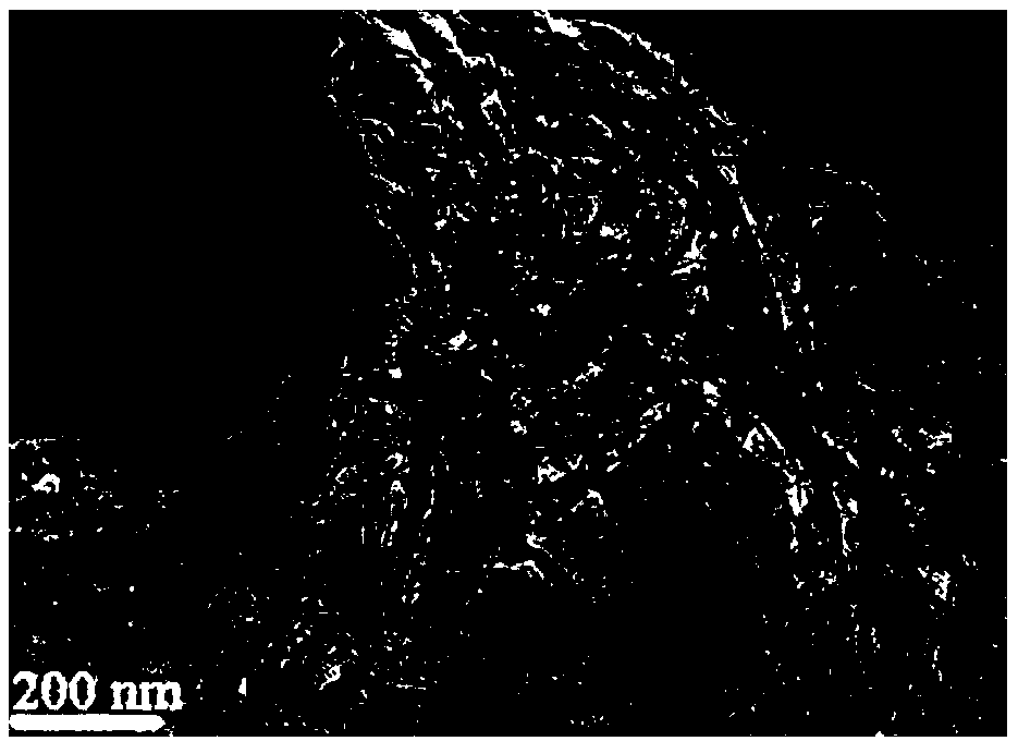 A kind of three-dimensional graphene bifunctional oxygen electrode catalyst and preparation method thereof