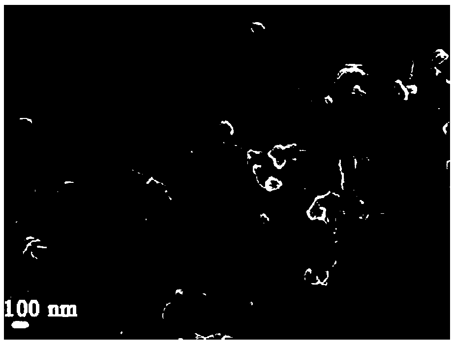 A kind of three-dimensional graphene bifunctional oxygen electrode catalyst and preparation method thereof