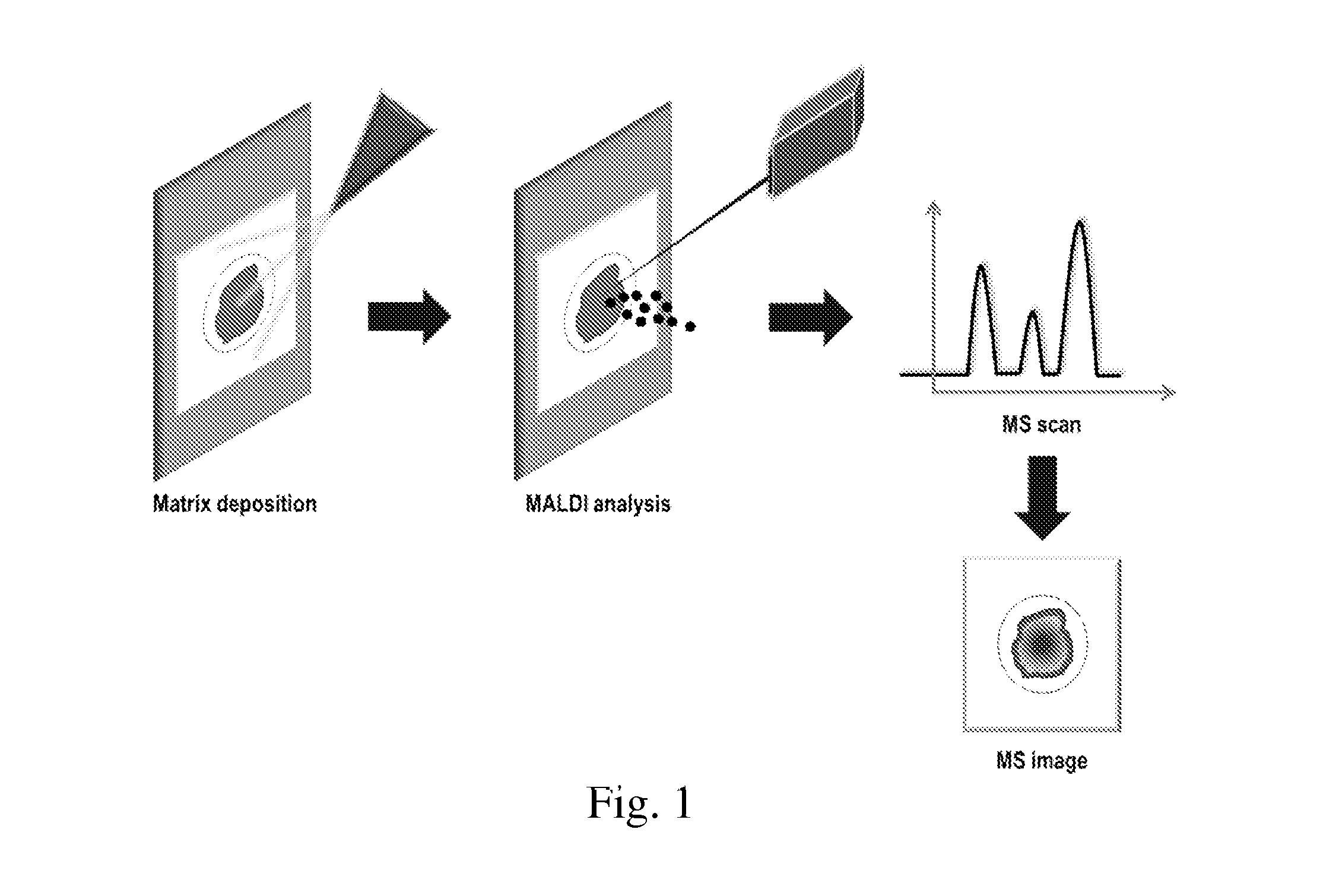 Detection of compounds in a dried fluid spot by direct maldi/ms