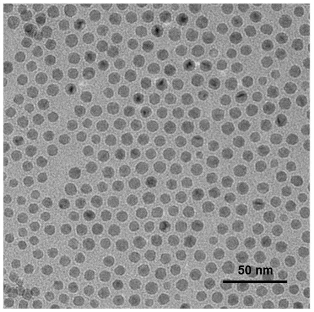 Preparation method, product and application of inorganic nanoparticle/supramolecular nano targeting compound