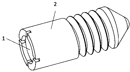 Degradable screw and manufacturing method thereof