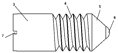 Degradable screw and manufacturing method thereof