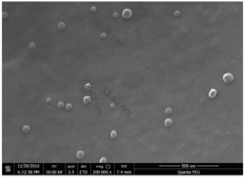 A fluorescent compound based on tetraphenylethylene and its preparation method and application