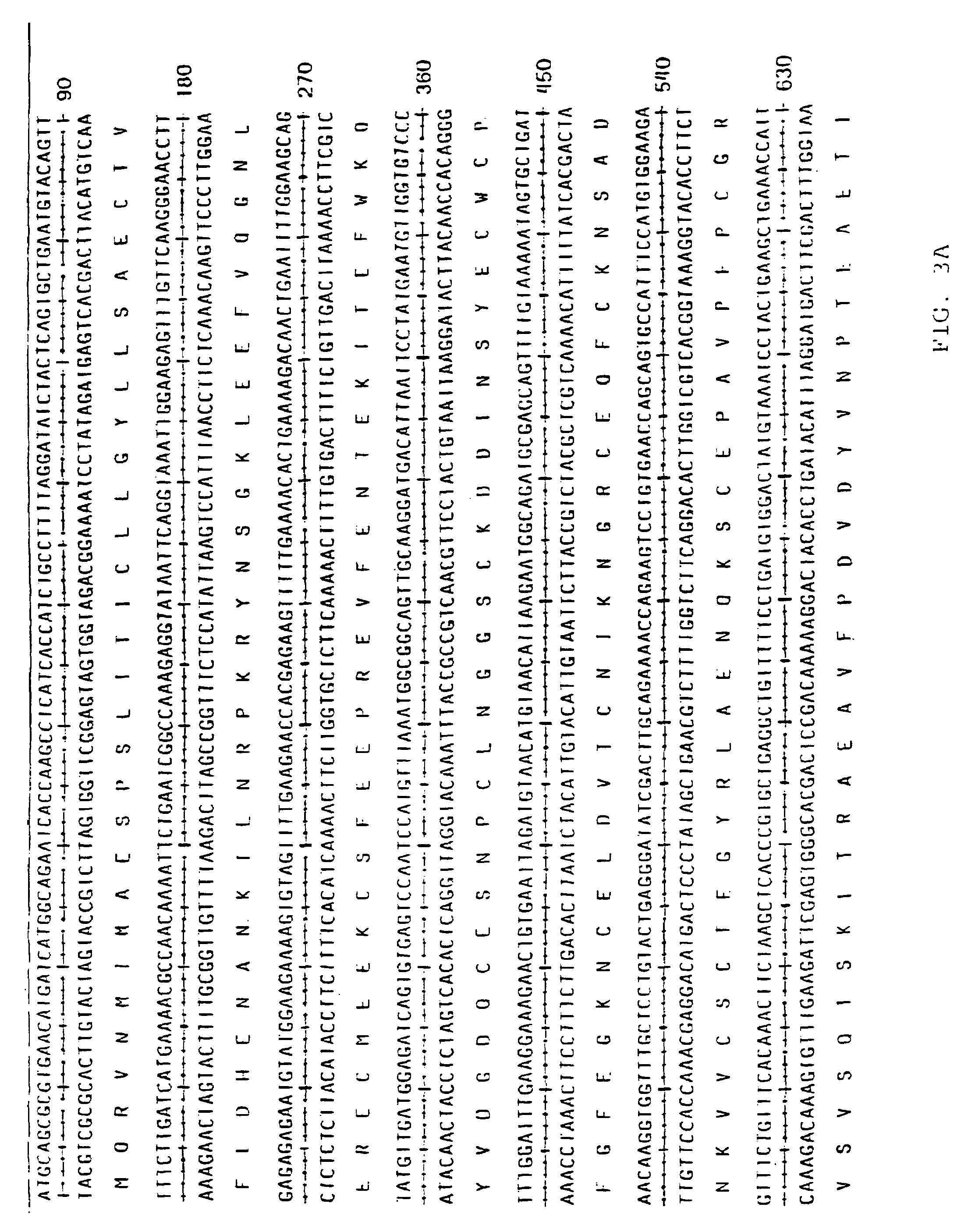 Mutant human factor IX with an increased resistance to inhibition by heparin