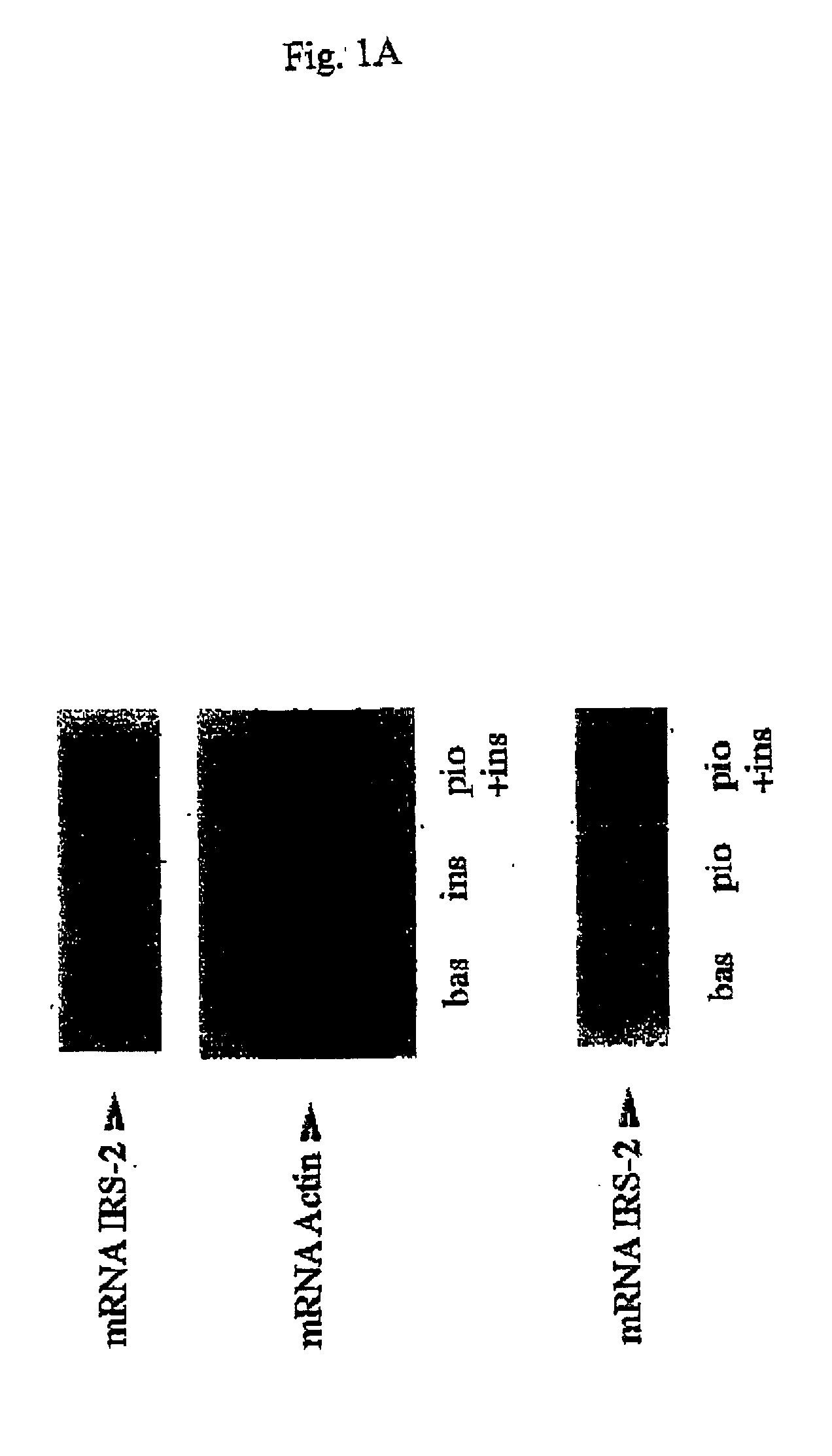 Novel sequences and their use