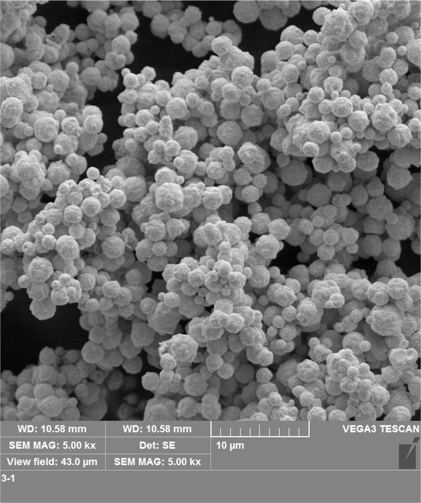 Micron-sized spherical hollow gold powder and preparation method therefor