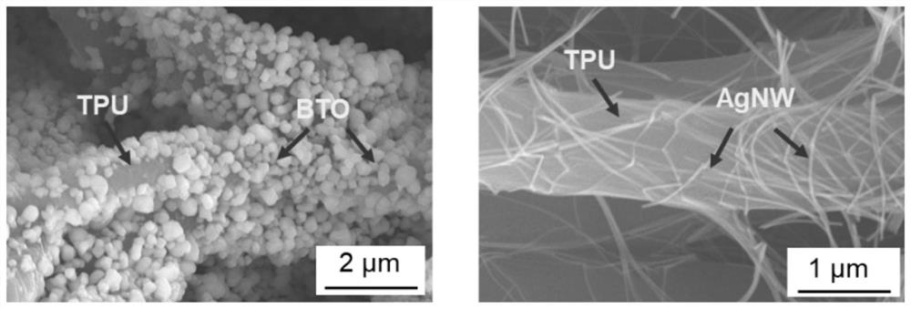 High dielectric elastic composite material and its preparation method and application in flexible sensing