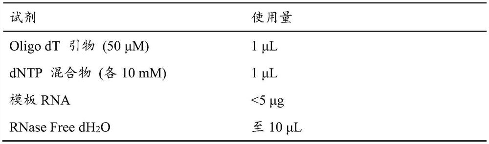 Monoclonal antibody specifically combined with ricin and application thereof