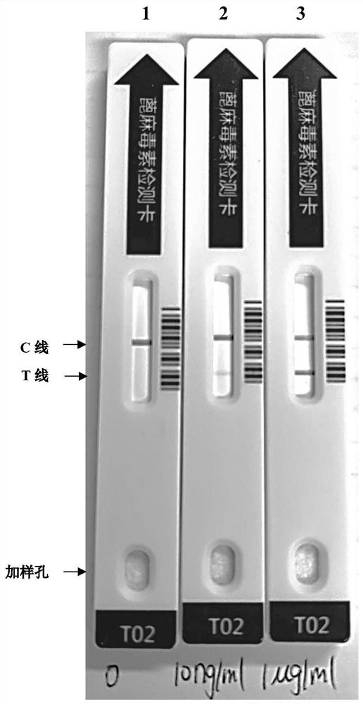 Monoclonal antibody specifically combined with ricin and application thereof