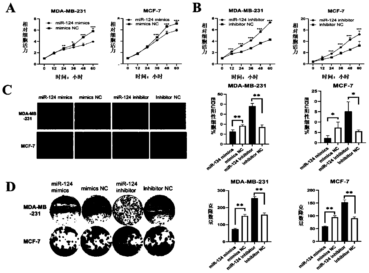 Application of miR-124-3p and analogues thereof in preparation of anti-breast cancer disease drugs