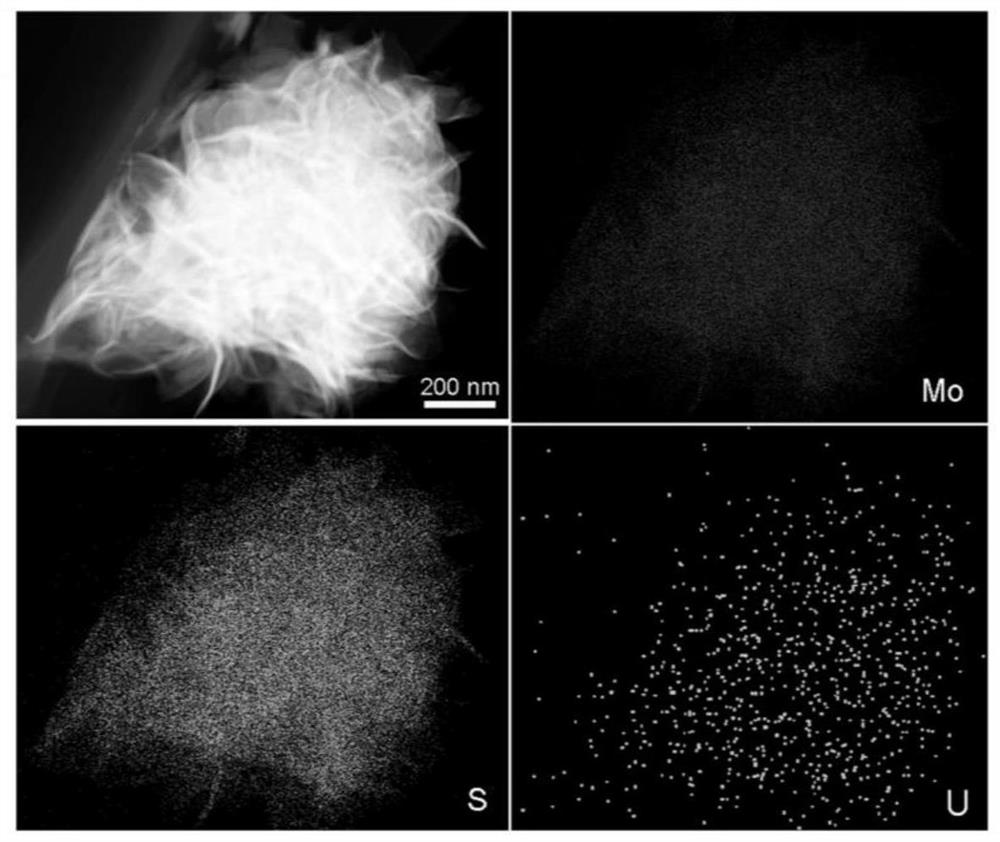 Application of sulfur boundary defect molybdenum disulfide in electrochemical seawater uranium extraction