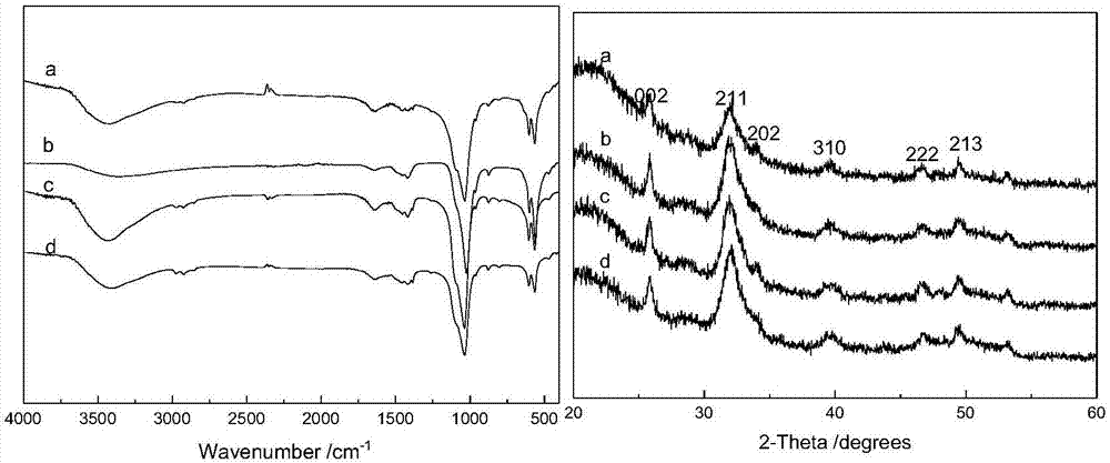 Method for biomimetic synthesis of hydroxyapatite by imidazole-4,5-dicarboxylic acid-modified chitosan