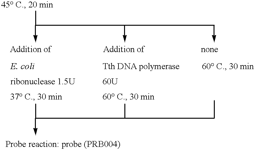 Method for amplifying and detecting of target nucleic acid sequence using thermostable enzyme