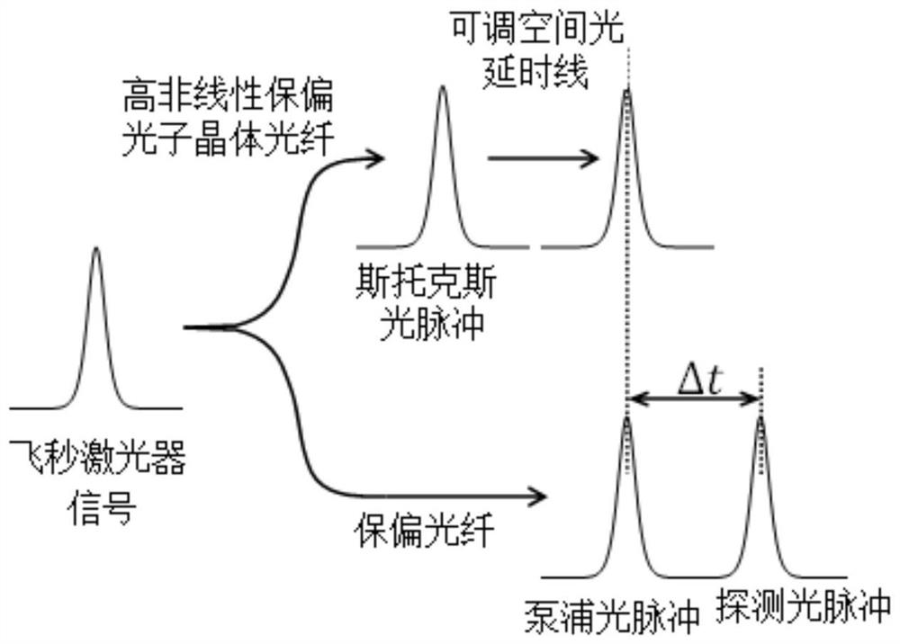 Time-resolved CARS microscopy imaging device and method based on fiber birefringence effect