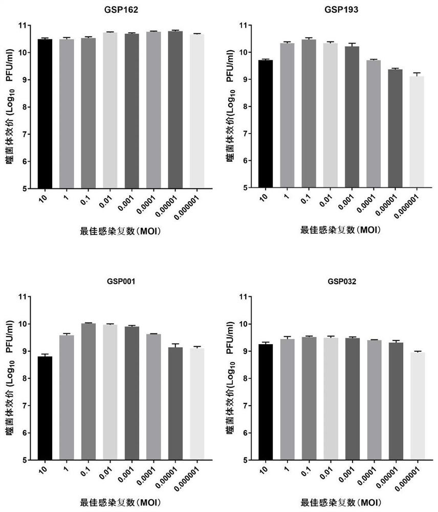 Salmonella phage composition and application thereof