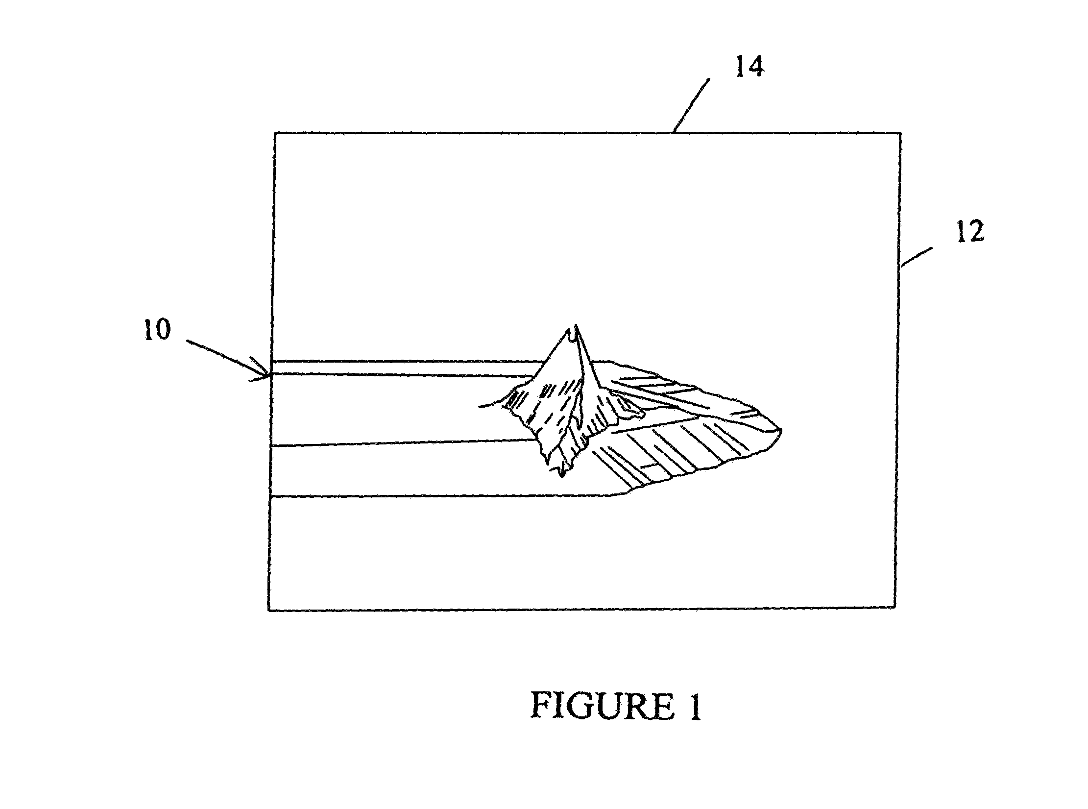 Method and system to attach carbon nanotube probe to scanning probe microscopy tips