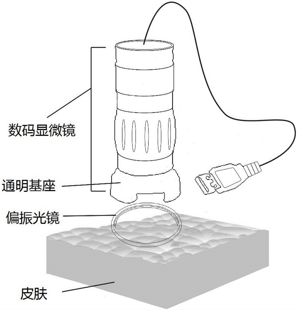 Skin image information processing-based age testing method